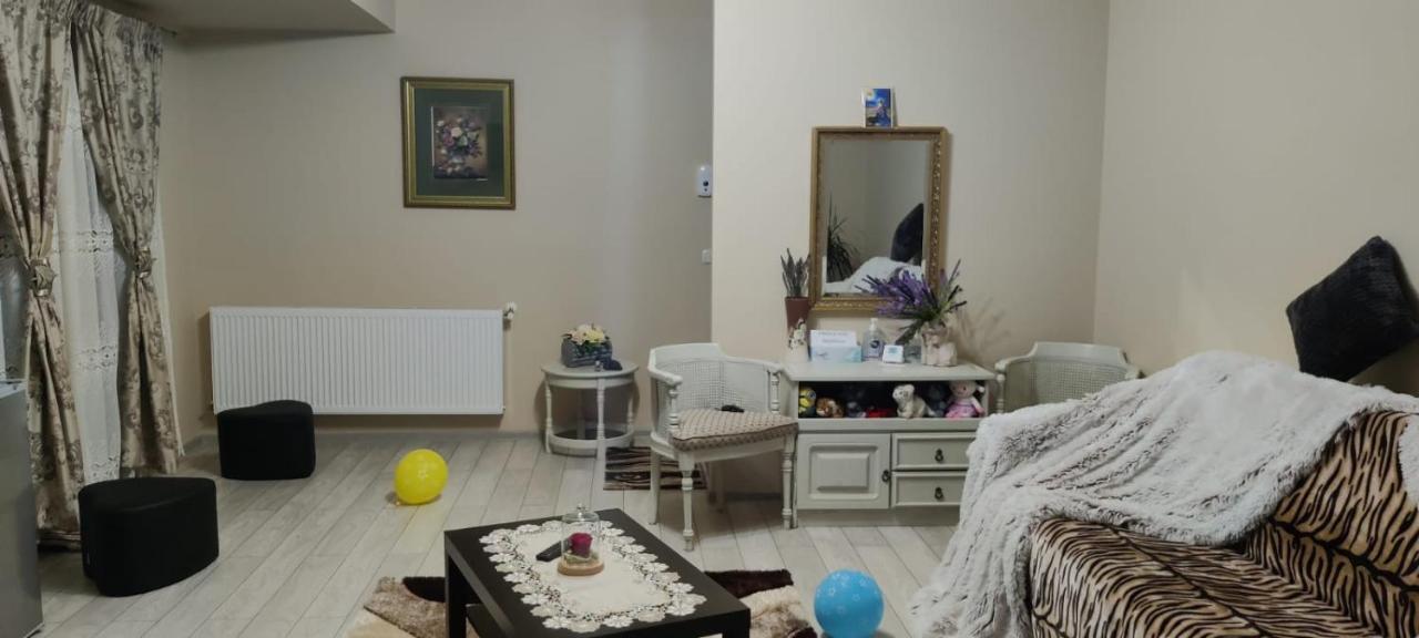 Coressy Studio Brašov Exteriér fotografie