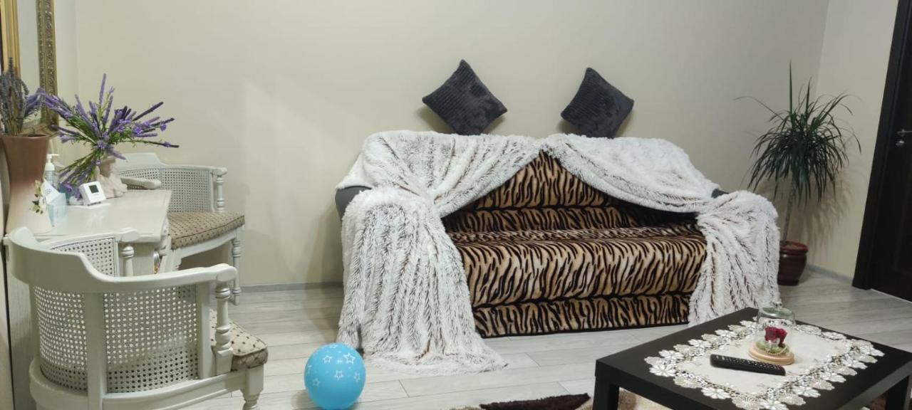 Coressy Studio Brašov Exteriér fotografie